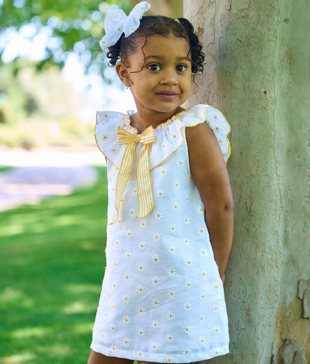 RAPIFE- dress and pant set